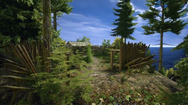 Demesne PC Crack