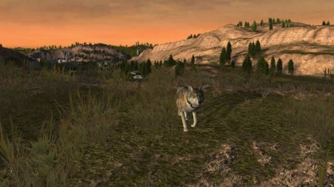 WolfQuest PC Crack WolfQuest PC Crack
