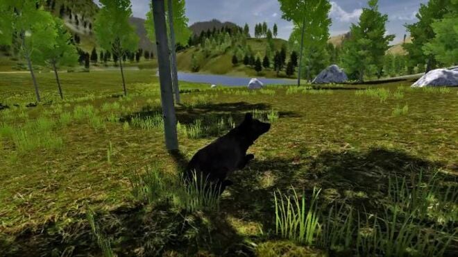 WolfQuest Torrent Download WolfQuest Torrent Download