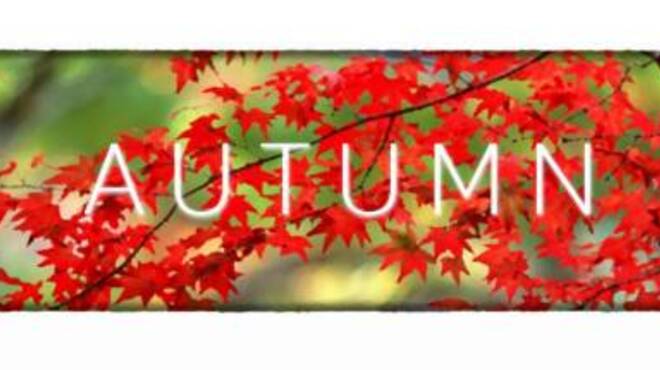 Autumn Free Download Autumn Free Download