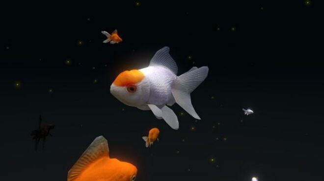 VR Aquarium -- PC Crack VR Aquarium -- PC Crack