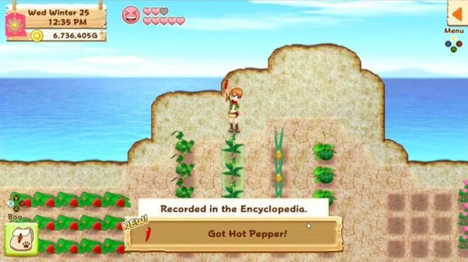 Harvest Moon: Light of Hope PC Crack