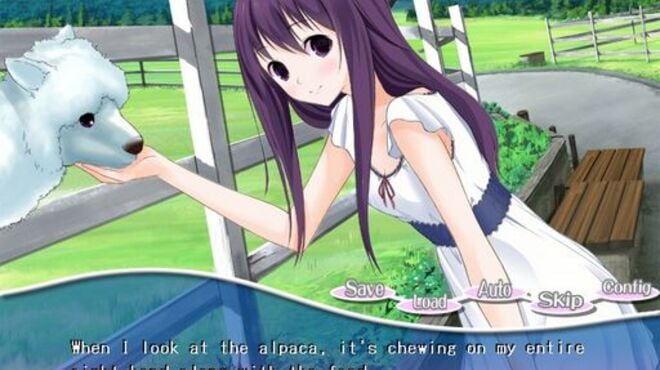 PACAPLUS Torrent Download