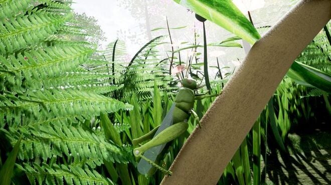 Drunk On Nectar - The Nature Simulator PC Crack