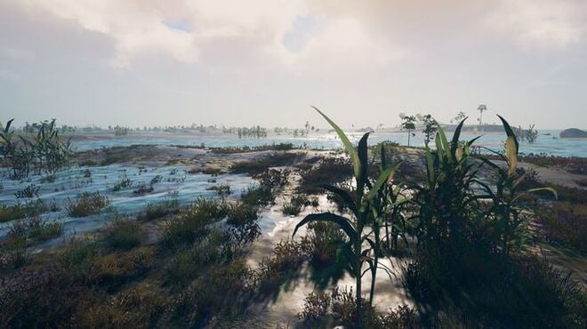 Survisland PC Crack