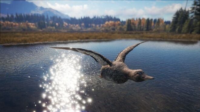 theHunter™: Call of the Wild - Duck and Cover Pack Torrent Download