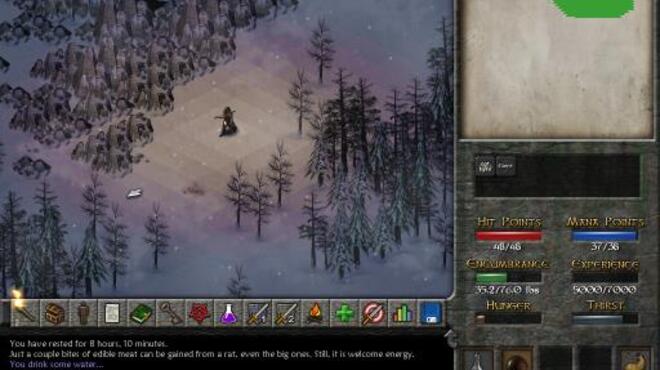 Eschalon: Book II PC Crack