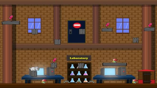 Guinea-Pig Torrent Download