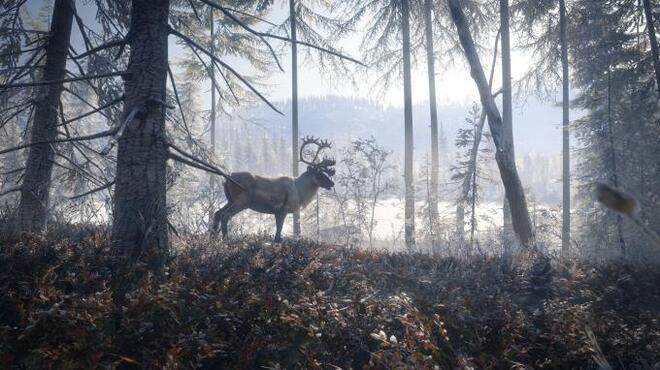 theHunter™: Call of the Wild - Medved-Taiga Torrent Download