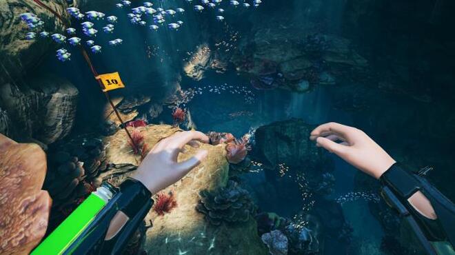 FREEDIVER: Triton Down Torrent Download FREEDIVER: Triton Down Torrent Download