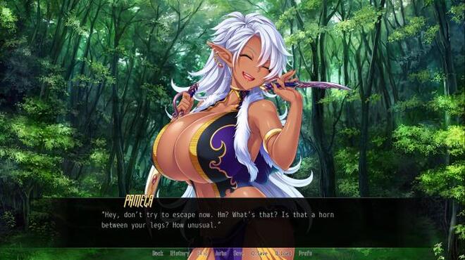 Hot & Steamy Knights PC Crack Hot & Steamy Knights PC Crack