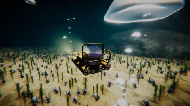 Blackbeards Cove PC Crack