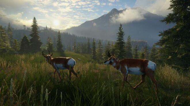 theHunter Call of the Wild Silver Ridge Peaks Torrent Download