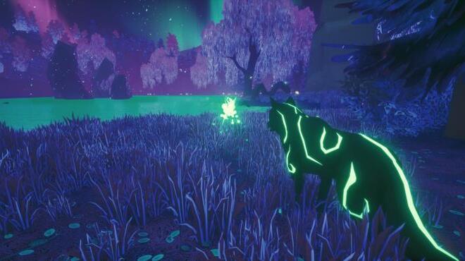 Paws and Soul PC Crack