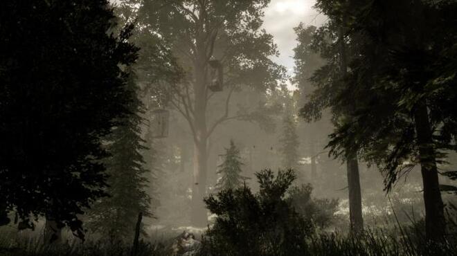 The Woods Escape the Room VR Torrent Download
