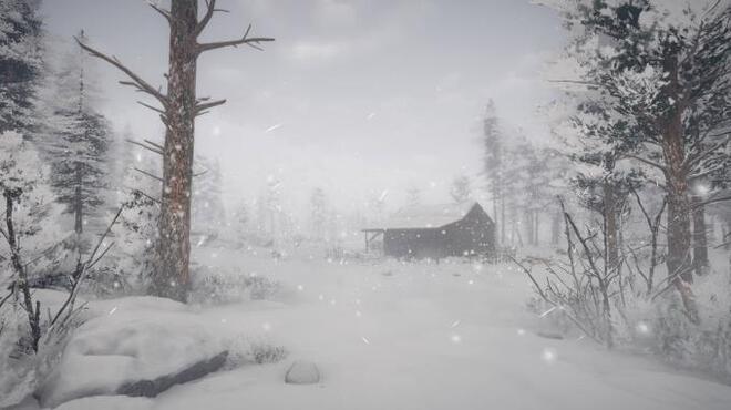 Northern Lights Torrent Download