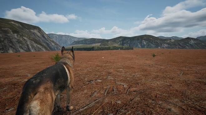 DogFoxBunny Torrent Download