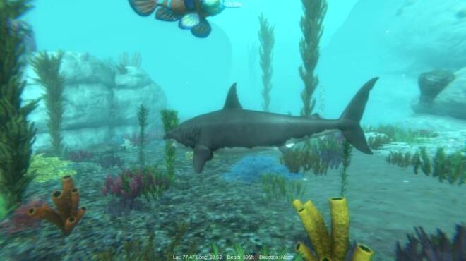 Alpha Shark Torrent Download