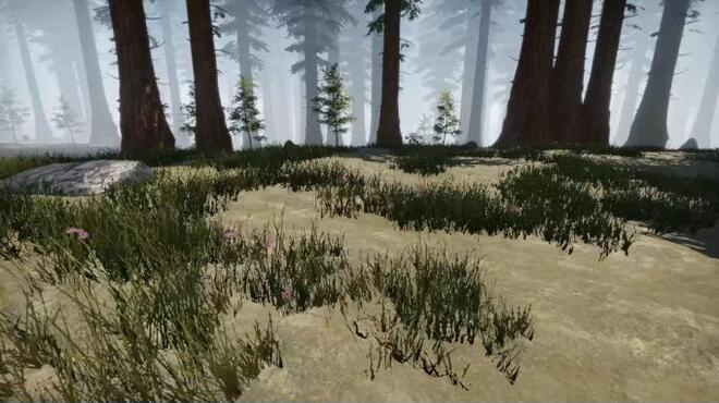 Missing Plane Survival PC Crack