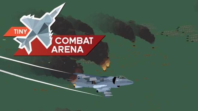 Tiny Combat Arena Free Download