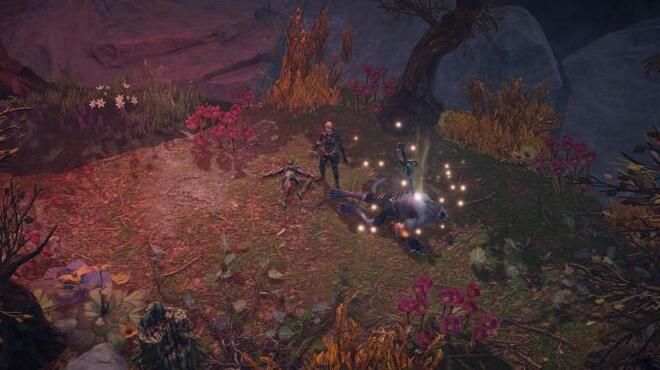 Disciples Liberation Paths To Madness PC Crack