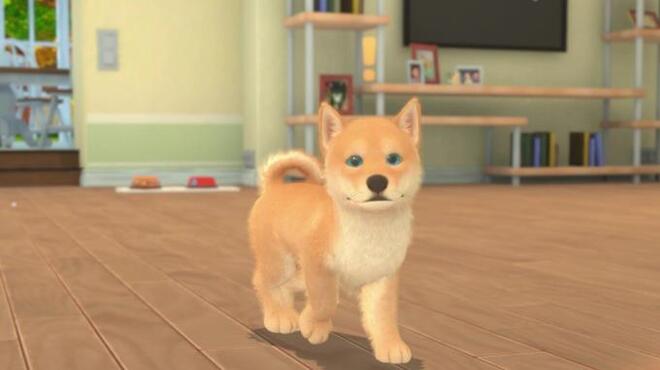 My Universe Puppies and Kittens PC Crack My Universe Puppies and Kittens PC Crack