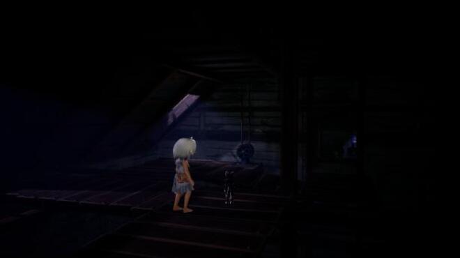 LIGHT：Black Cat & Amnesia Girl PC Crack