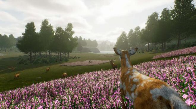 Deer Journey PC Crack