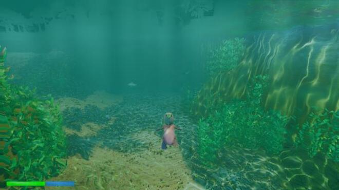 Platypus Adventures Torrent Download Platypus Adventures Torrent Download