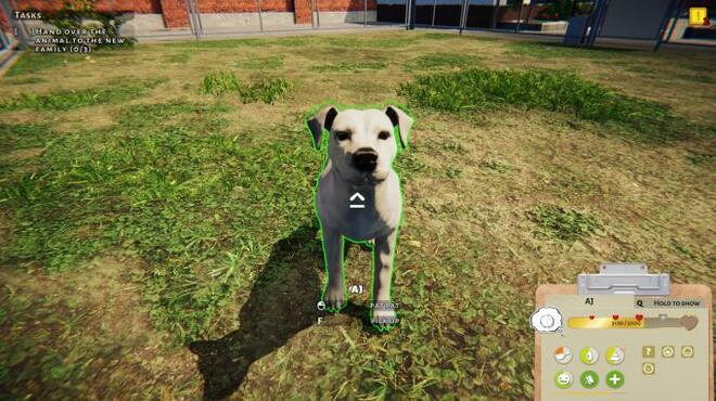 Animal Shelter Puppies and Kittens PC Crack