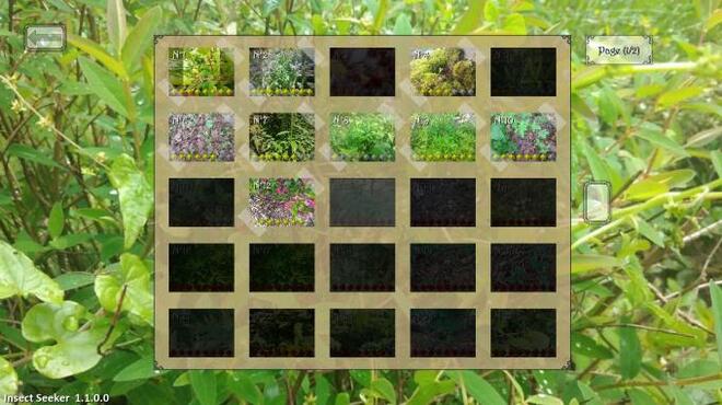 Insect Seeker Torrent Download