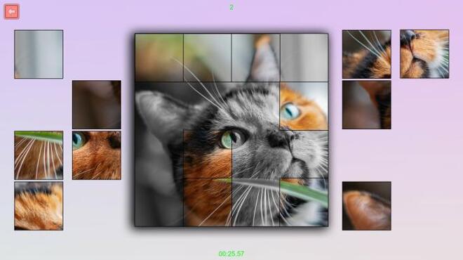 TitTok Kitty Torrent Download