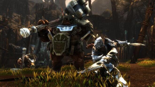 Kingdoms of Amalur ReReckoning PC Crack