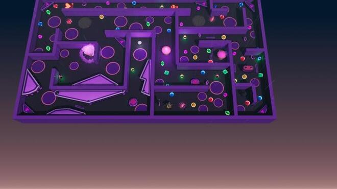 Roxy Raccoon 2 Topsy-Turvy PC Crack
