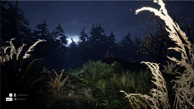 Echoes Of The Shadows I Whispering Pines PC Crack