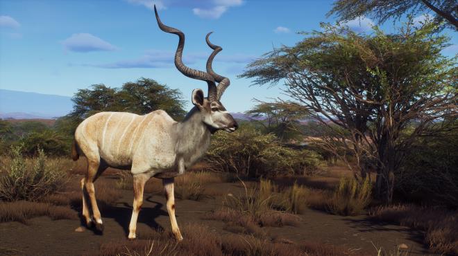 Way of the Hunter Tikamoon Plains PC Crack