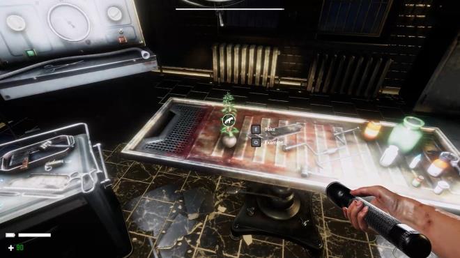Resident Fear Redistribution PC Crack