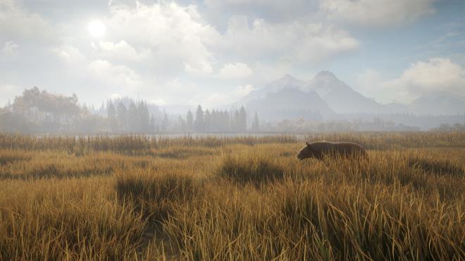 theHunter Call of the Wild v2649775 PC Crack theHunter Call of the Wild v2649775 PC Crack