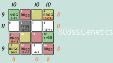 Featured 808sGenetics Free Download