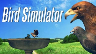 Featured Bird Simulator Free Download