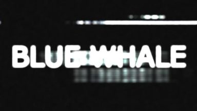 Featured Blue Whale Free Download