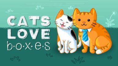 Featured Cats Love Boxes Free Download