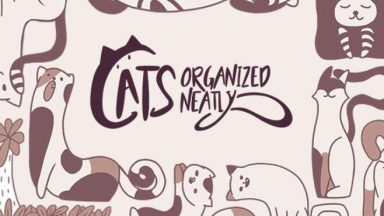 Featured Cats Organized Neatly Free Download