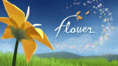 Featured Flower Free Download