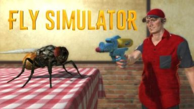 Featured Fly Simulator Free Download