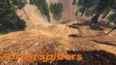 Featured Forest spiders Free Download