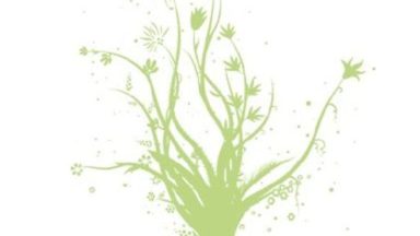 Featured Fragile Soft Machines Free Download