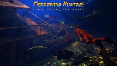 Featured Freediving Hunter Spearfishing the World Free Download