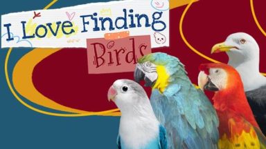 Featured I Love Finding Birds Free Download