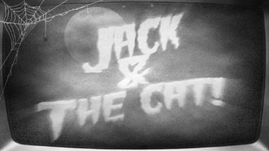 Featured Jack the cat Free Download